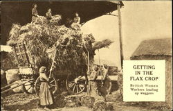 Getting In The Flax Crop Social History Postcard Postcard