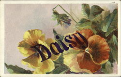 Daisy Postcard