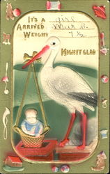 Stork with Baby Postcard