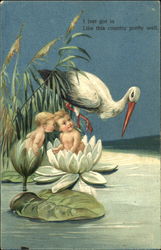 Stork with LIlly Babies Postcard Postcard