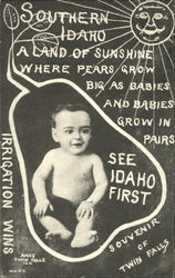 Idaho Baby Postcard