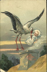 Stork with Baby Postcard