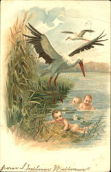 Storks, Babies Postcard Postcard