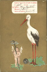 Cupid Told The Stork To Bring A Girl Babies Postcard Postcard