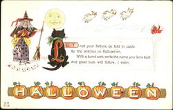 Halloween Witch Black Cat Owls H-17 Postcard