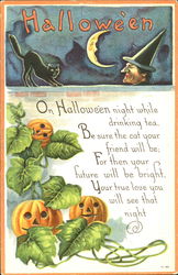 Halloween Witch Pumpkins Cat Postcard Postcard