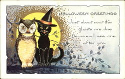 Owl & Cat Halloween Greetings Postcard