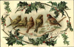 Merry Xmas Birds Christmas Postcard Postcard