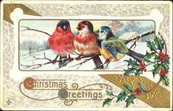 Christmas Greetings Birds Postcard Postcard