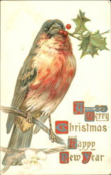 A Merry Christmas And Happy New Year Bird Postcard Postcard