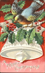 A Merry Christmas Bird Postcard Postcard