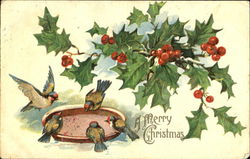 A Merry Christmas Birds Postcard Postcard