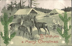 To Wish You A Merry Christmas Deer Postcard