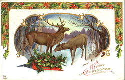 A Merry Christmas Reindeer Postcard Postcard