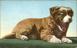 Puppie Postcard