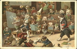 Dog Schoolroom Dogs Postcard Postcard