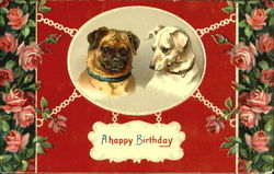 A Happy Birthday Postcard