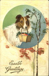 Easter Greetings Dogs Postcard Postcard