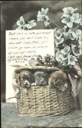 Puppies in a flower basket Postcard