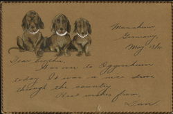 Three Dogs Postcard