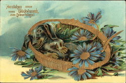 Herzlichen Grickwunsch Zum Geburtstage! Dogs Postcard Postcard