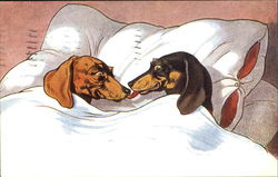 Dogs in Bed Postcard