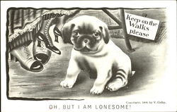 Oh But I Am Lonesome! Postcard