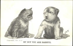 My But You Are Bashful Postcard