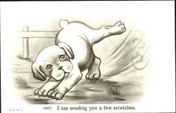 I Am Sending You A Few Scratches Postcard