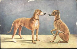 Two dogs Postcard