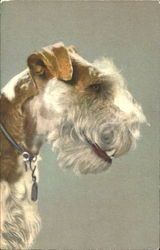 Fox Terrier Dogs Postcard Postcard