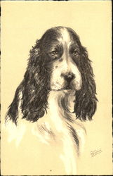 Cocker Spaniel Epagneul Postcard