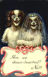 The Wedding Day Dogs Postcard Postcard