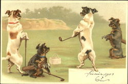 Golfing Terriers Postcard