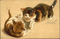 Tortoise Skell And Tabby Kittens Cats Postcard Postcard