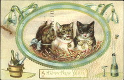 A Happy New Year Cats Postcard Postcard