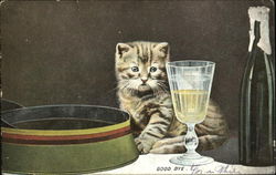 Good Bye Cats Postcard Postcard