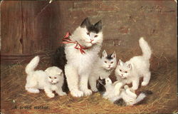 A Proud Mother Cats Postcard Postcard