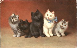 Kittens sitting in a row Cats Postcard Postcard