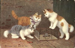 So Near And Yet So Far Cats Postcard Postcard