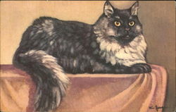 Persian Cat Postcard