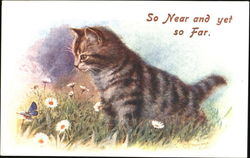 So Near And Yet So Far Cats Postcard Postcard