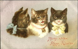 Many Happy Returns Postcard