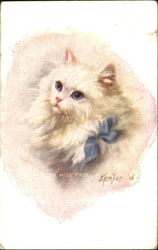 Miss Prim Postcard