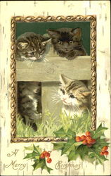 A Merry Christmas Cats Postcard Postcard