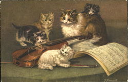 Kittens with Violin Cats Postcard Postcard