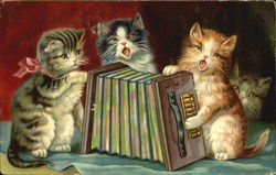 Cats and Music Postcard