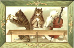 Musical Trio Cats Postcard Postcard