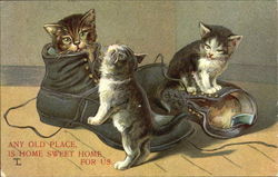 Any Old Place Is Home Sweet Home For Us Cats Postcard Postcard