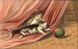 Rest After Play Cats Postcard Postcard